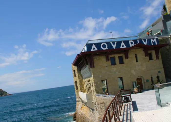 Concha - Sshousing San Sebastián