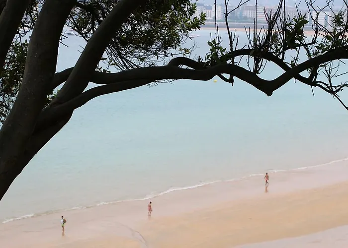 Concha - Sshousing Lägenhet *