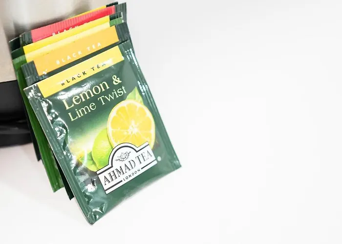 Lägenhet Concha - Sshousing San Sebastián